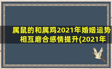 属鼠的和属鸡2021年婚姻运势 相互磨合感情提升(2021年属鼠和属鸡的婚姻运势：共同成长磨合感情，关系更加稳定。)